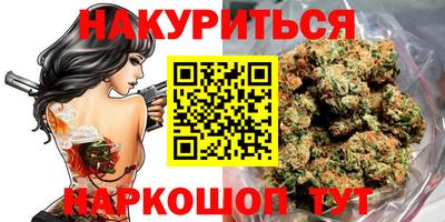 индика Славгород