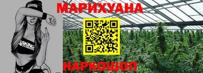 индика Славгород