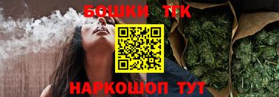 индика Славгород
